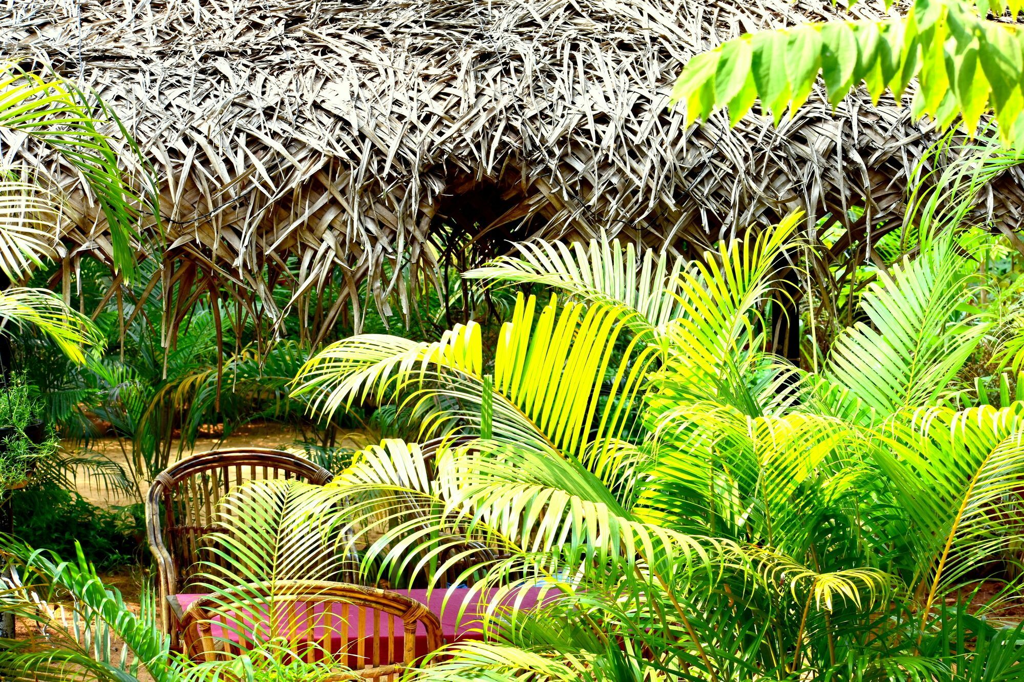 Patnem Garden Resort Patnem Beach Zewnętrze zdjęcie